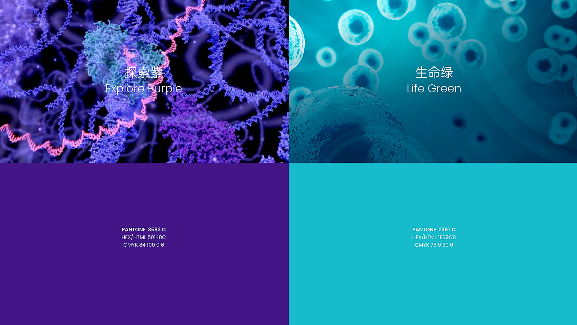 醫(yī)療logo設(shè)計(jì)