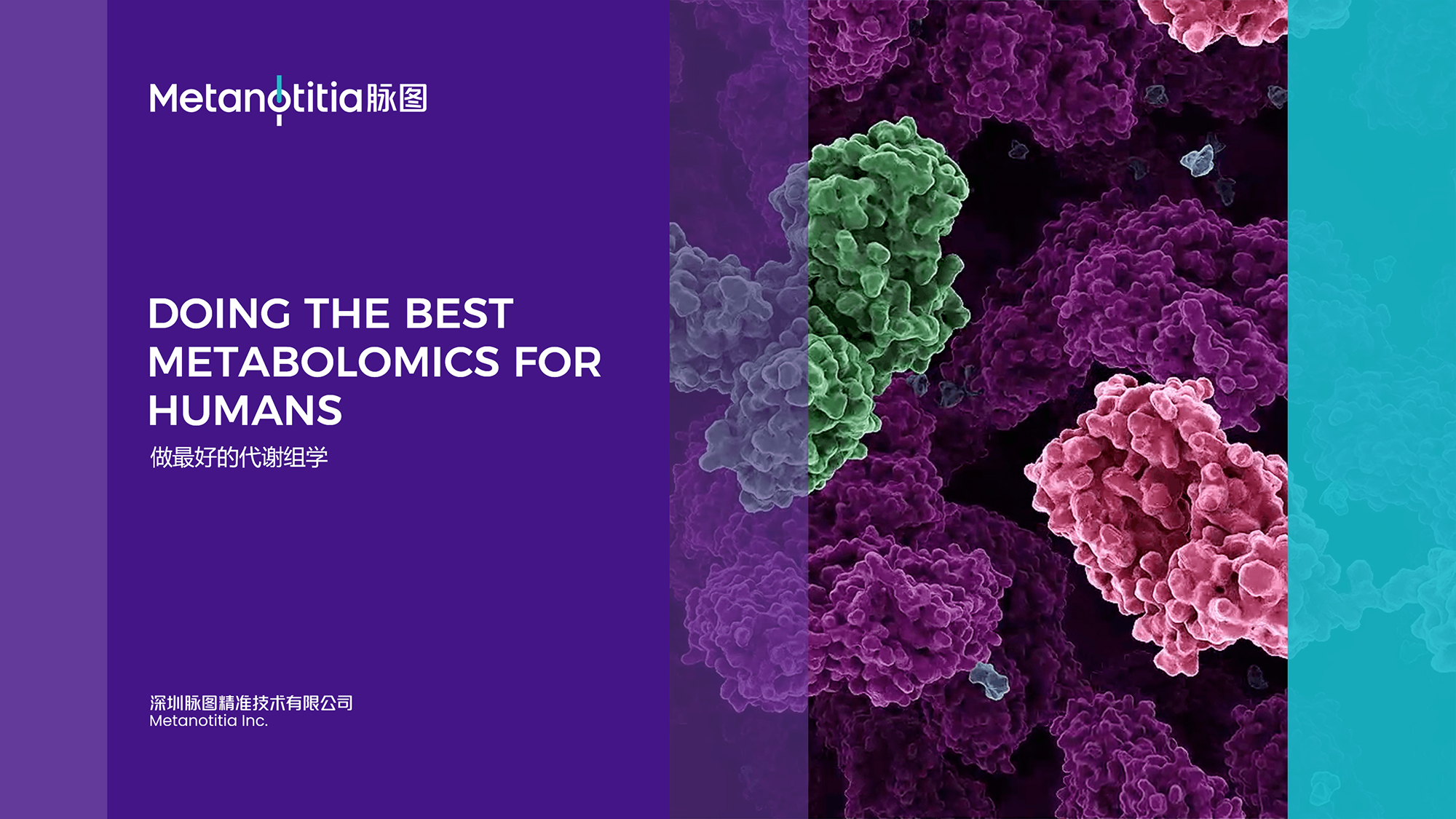 醫(yī)療VI設(shè)計(jì)